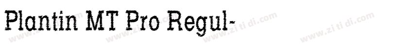 Plantin MT Pro Regul字体转换